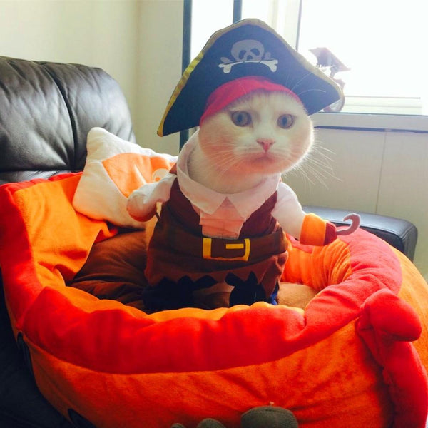 80% OFF Funny Cat/Dog pet Pirate Costume