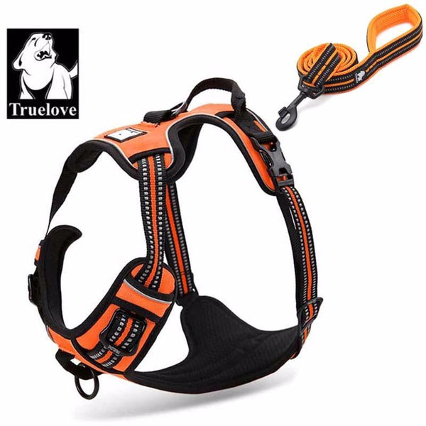 Truelove Soft Padded Mesh Dog Leash 3M Reflective Nylon Walking Training Dog Leads Stock Running Dog Pet Leash 5 Color 200cm
