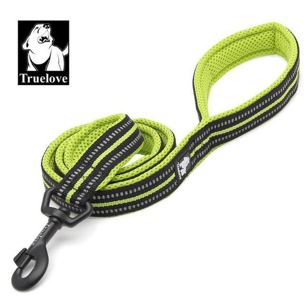 Truelove Soft Padded Mesh Dog Leash 3M Reflective Nylon Walking Training Dog Leads Stock Running Dog Pet Leash 5 Color 200cm
