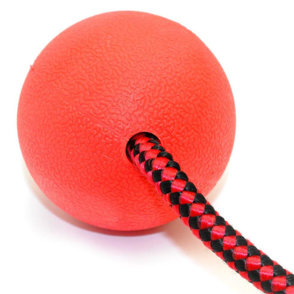 Solid Rubber Dog Chew Training Ball Toys Tooth Cleaning Chew Ball Puppy Pet Play Training Chewing Toy With Rope Handle