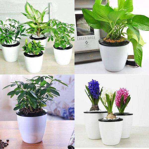 Self Watering Flower Pots (Various Sizes)