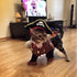 products/Funny-Cat-Costume-Pirate-Suit-Cat-Clothes-Corsair-Halloween-Costume-Puppy-Suit-Dressing-Up-Party-Clothes_4b88d0e6-0f19-4575-bdbe-48efe3aa5562.jpg