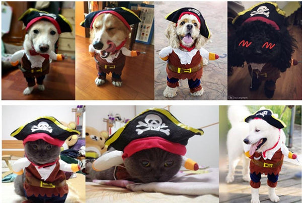 80% OFF Funny Cat/Dog pet Pirate Costume