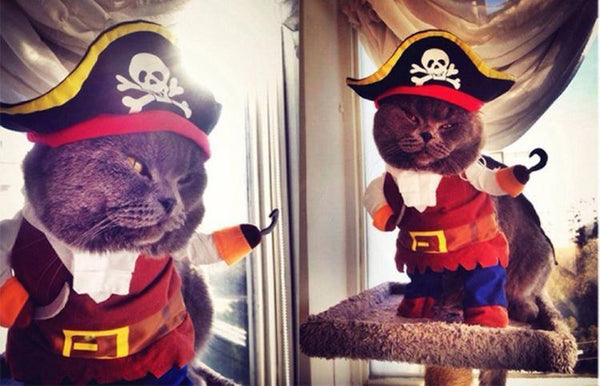 80% OFF Funny Cat/Dog pet Pirate Costume