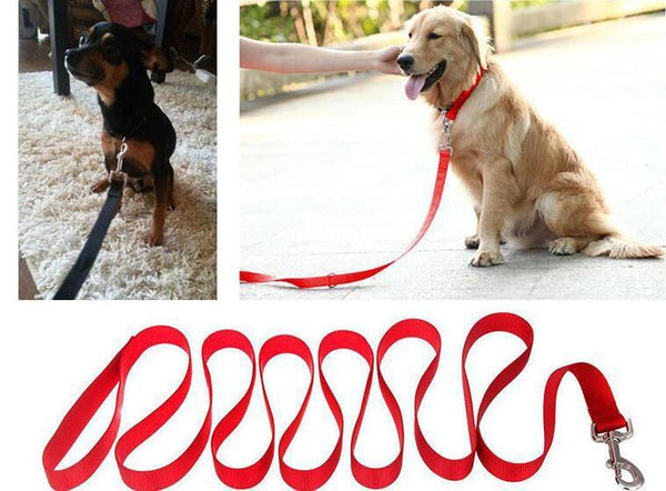 Short Dog Pet Lead Leash for Dogs Cats Red Green Blue Nylon Walk Dog Leash Selectable Size Outdoor Security Training Dog Harness