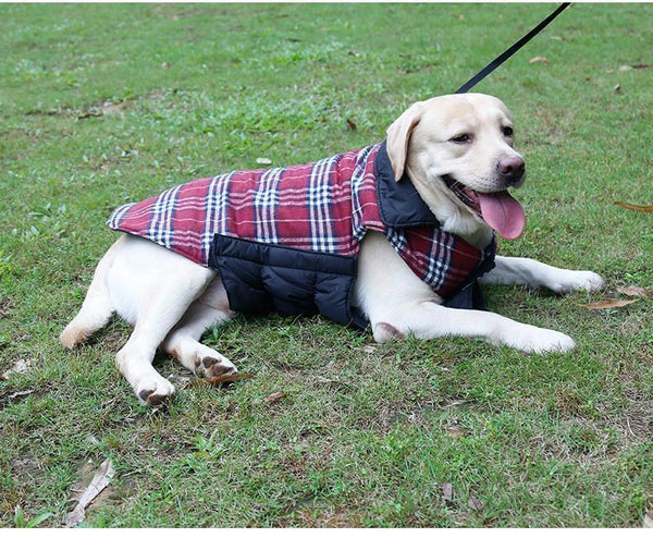 Dog Clothes Waterproof Reversible Dog Jacket Designer Warm Plaid Winter Dog Coats Pet Clothes Small to Large