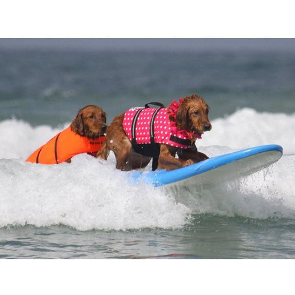 11 Design Oxford Breathable Mesh Pet Dog Life Jacket Summer Dog Swimwear Puppy Life Vest Safety Clothes For Dogs XXS-XXL