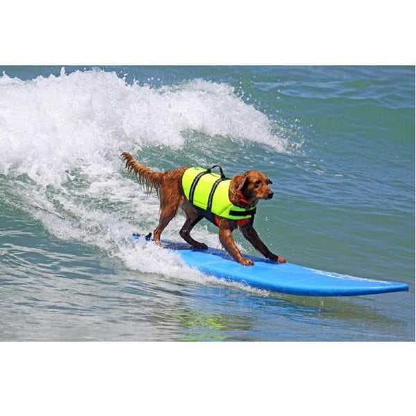 11 Design Oxford Breathable Mesh Pet Dog Life Jacket Summer Dog Swimwear Puppy Life Vest Safety Clothes For Dogs XXS-XXL