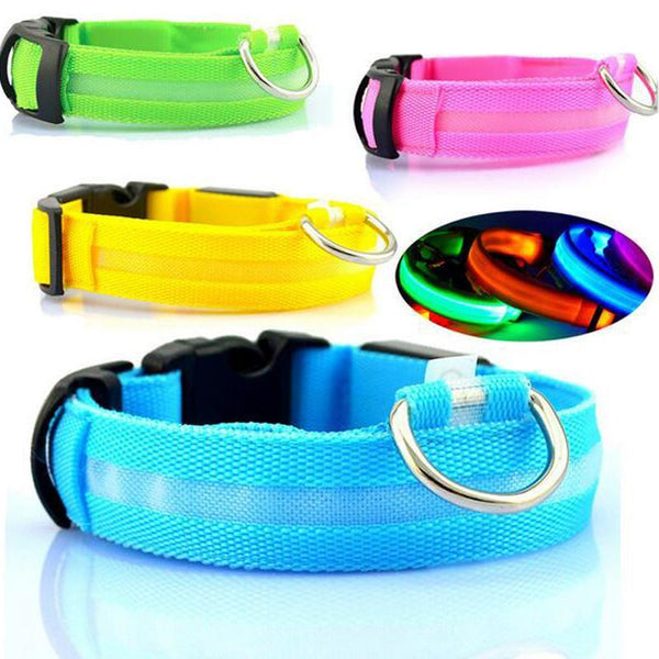 Nylon Pet Dog Collar LED Light Night Safety Light-up Flash Glowing in Dark Cat Collar LED Dog Collars Small Dogs Dog Accessories