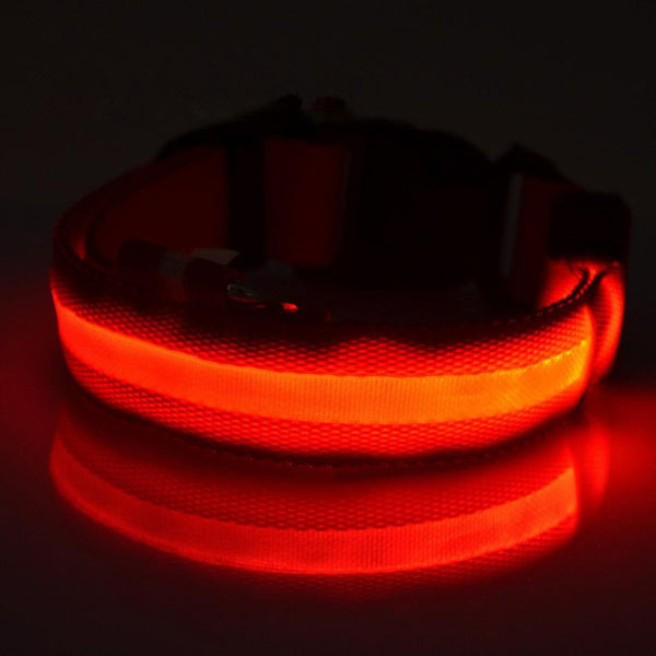 Nylon Pet Dog Collar LED Light Night Safety Light-up Flash Glowing in Dark Cat Collar LED Dog Collars Small Dogs Dog Accessories