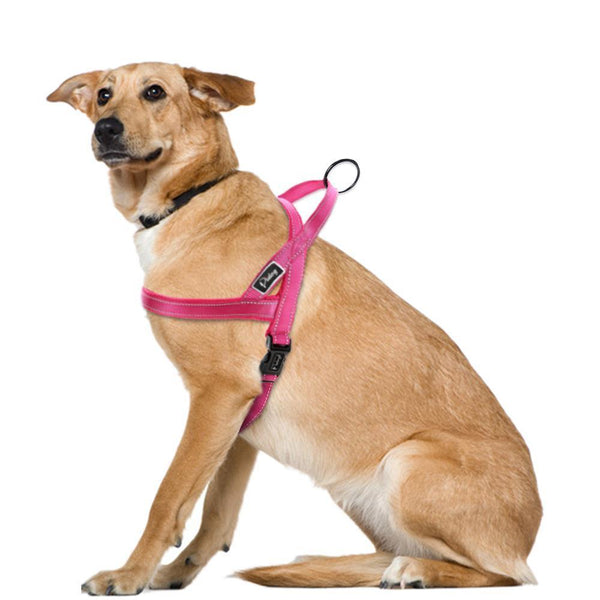 No Pull Nylon Quick Fit Reflective Stitching Dog Harness For Small Medium Large Dog Strong Adjustable XXS XS S M L 4 Colors