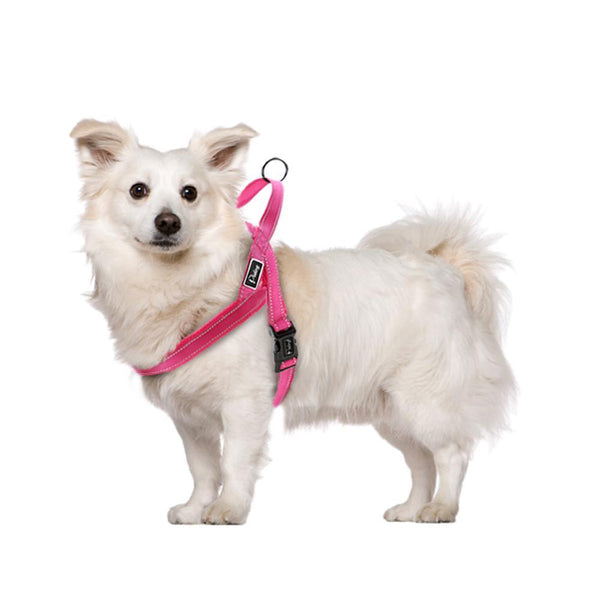 No Pull Nylon Quick Fit Reflective Stitching Dog Harness For Small Medium Large Dog Strong Adjustable XXS XS S M L 4 Colors