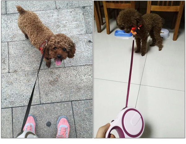 New Arrival Brand ABS High-Grade Stable Durable 3 Meter Automatic Retractable Dog Traction Rope Leashes Pet Leads