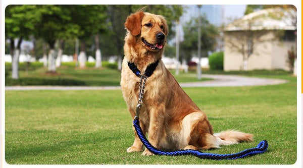 FML Pet Durable Adjustable Strong Nylon Rope Large Dog Collar And Leash Set Automatically Scaling For Walking Medium Large Anima